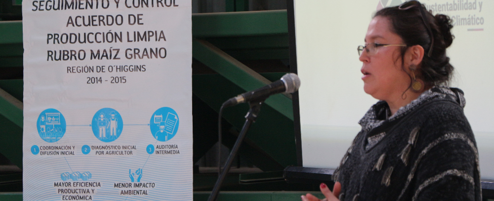 Viviana candia apl maiz